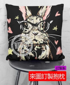 客製化抱极枕，來圖訂製方形抱枕