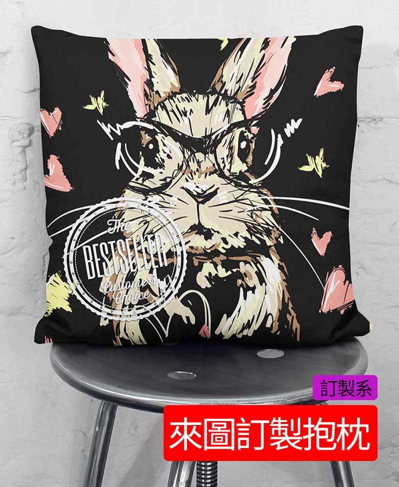 官網用16 | 創意PP熊|客製化手機殼專家 客製化抱极枕,來圖訂製方形抱枕