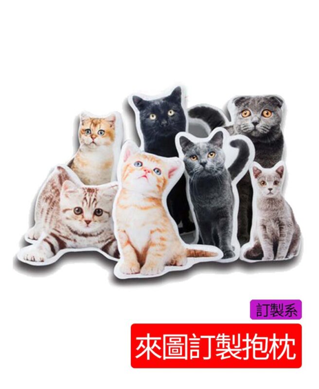 官網用17 | 創意PP熊|客製化手機殼專家 客製化抱极枕,來圖訂製寵物抱枕