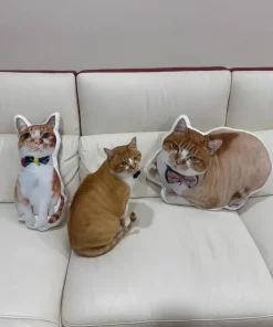 客製化貓咪抱枕與真貓同框，寵物抱枕展示