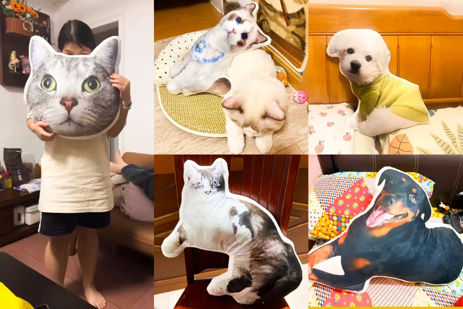 客製化抱枕正面展示，水晶超柔珍珠棉材質