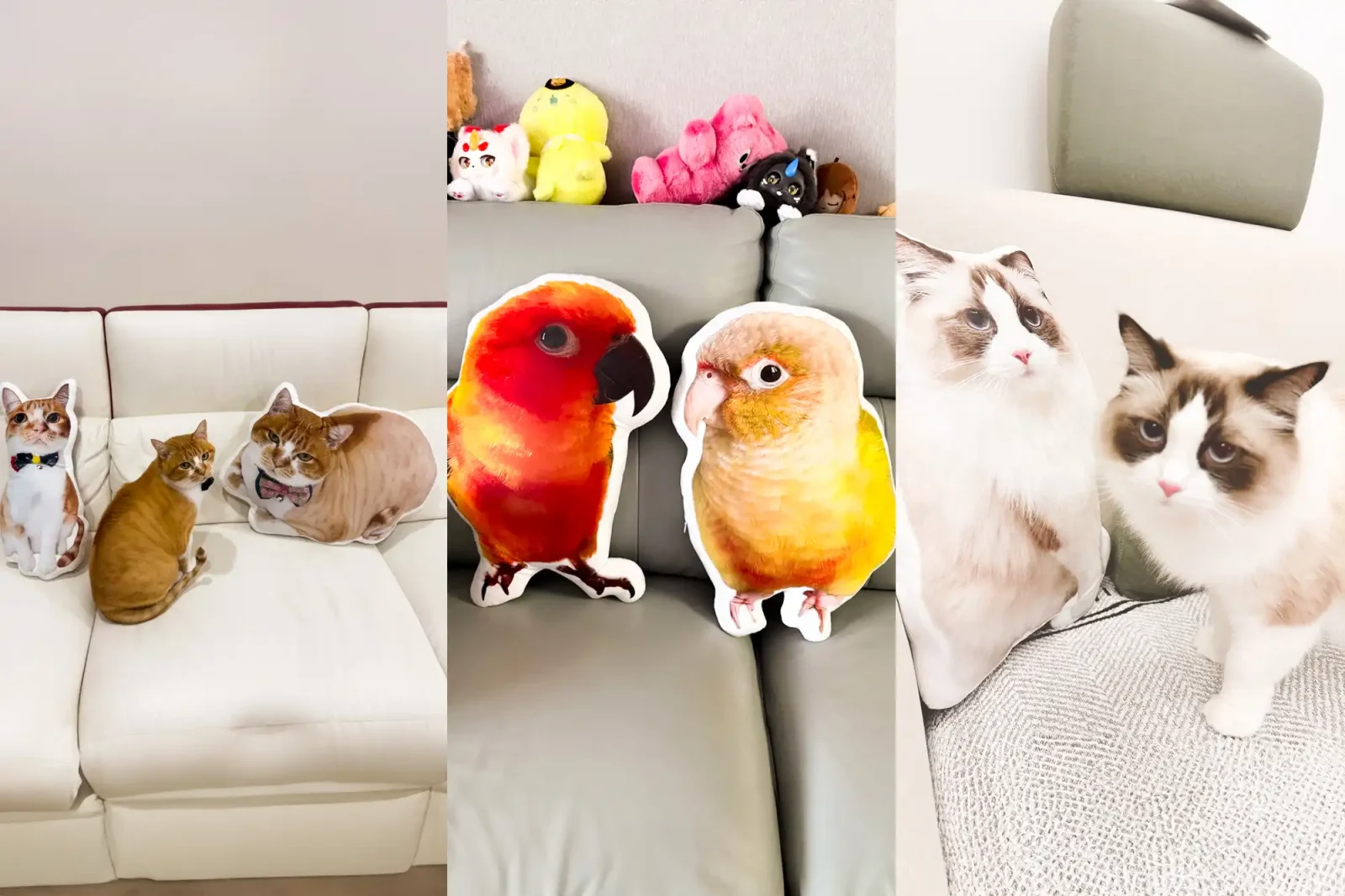 客製化抱枕側面厚度展示，柔軟蓬鬆